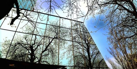 Nada nos puede separar del amor de Dios (Romanos 8:31-39)