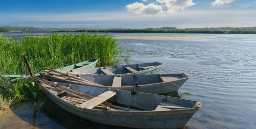 La mano de Jesús en todas las cosas (Juan 3:1-36)