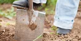 Amigos en posiciones bajas de autoridad (1 Corintios 1:18-31)