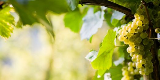 Historia de dos ciudades (Apocalipsis 17 - 22)