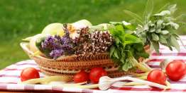 La necesidad del capital social (Hageo 1:1-2:19)