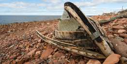 Dios cuida a los que responden a Su llamado (Jonás 1:3, 12-14, 17; 2:10; 4:3-8)